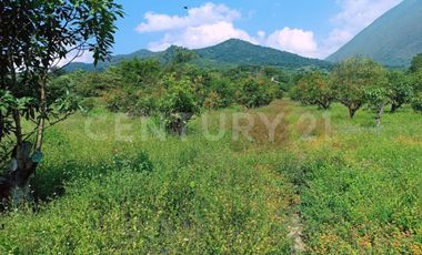VENTA de predio urbano en el Sauz, Mpio. de Minatitlán, Colima.