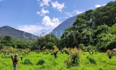 VENTA de predio urbano en el Sauz, Mpio. de Minatitlán, Colima.