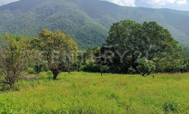 VENTA de predio urbano en el Sauz, Mpio. de Minatitlán, Colima.