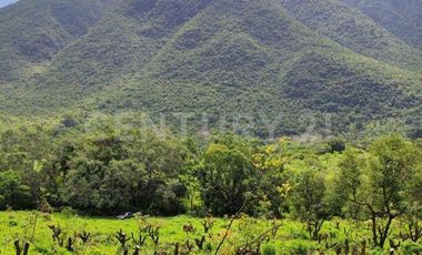 VENTA de predio urbano en el Sauz, Mpio. de Minatitlán, Colima.