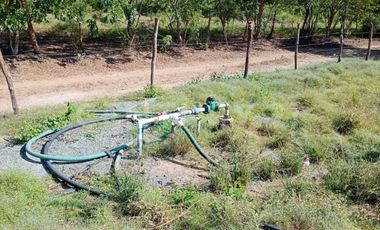 Parcela en venta Augusto Gomez Villanueva Armeria, Colima
