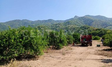 Parcela en venta Augusto Gomez Villanueva Armeria, Colima