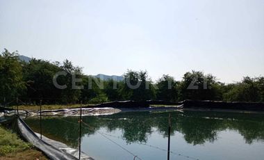 Parcela en venta Augusto Gomez Villanueva Armeria, Colima