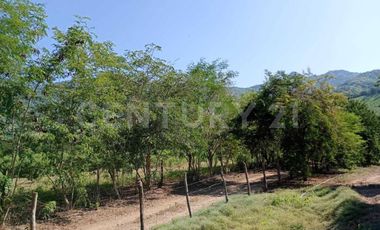 Parcela en venta Augusto Gomez Villanueva Armeria, Colima