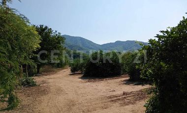 Parcela en venta Augusto Gomez Villanueva Armeria, Colima