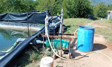 Parcela en venta Augusto Gomez Villanueva Armeria, Colima