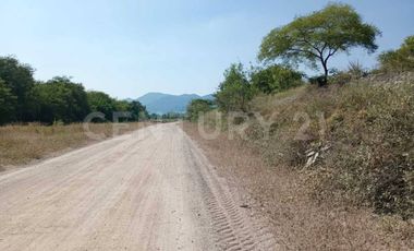 Parcela en venta Augusto Gomez Villanueva Armeria, Colima
