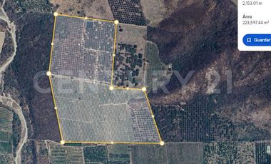 Parcela en venta Augusto Gomez Villanueva Armeria, Colima