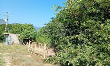 Parcela en venta Augusto Gomez Villanueva Armeria, Colima