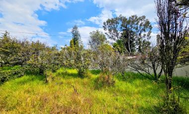 Casa tipo Rancho en venta Santa Rita Tlahuapan.