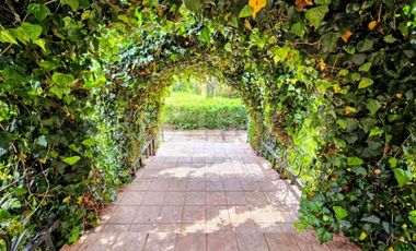 Casa tipo Rancho en venta Santa Rita Tlahuapan.