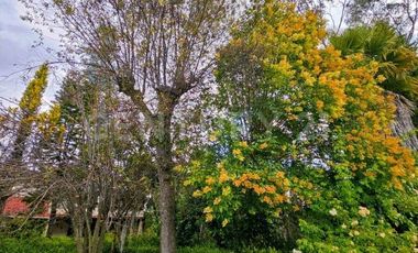 Casa tipo Rancho en venta Santa Rita Tlahuapan.