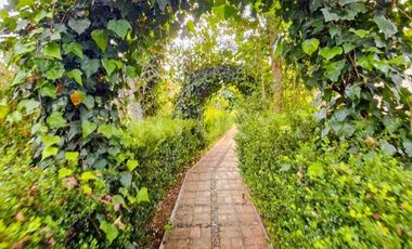 Casa tipo Rancho en venta Santa Rita Tlahuapan.