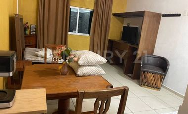 DEPARTAMENTO AMUEBLADO EN RENTA