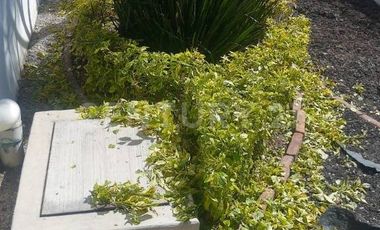 Departamento en renta en Puebla, Huejotzingo, Fracc. Villas Monteverde.