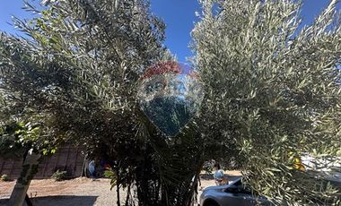 SE VENDE TERRENO 1.050 m² ZONA ZC-2  LO PRADO