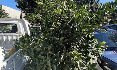 SE VENDE TERRENO 1.050 m² ZONA ZC-2  LO PRADO