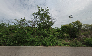 Macrolote en Venta sobre Carretera Mocochá - Baca