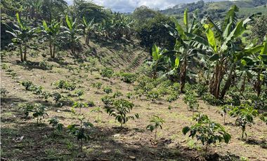 ref 1021a vendo finca en calima Darién vereda el diamante