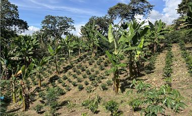 ref 1021a vendo finca en calima Darién vereda el diamante