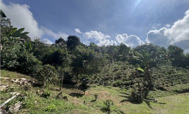 ref 1021a vendo finca en calima Darién vereda el diamante