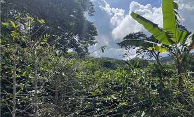 ref 1021a vendo finca en calima Darién vereda el diamante