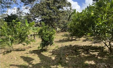 ref 1021a vendo finca en calima Darién vereda el diamante