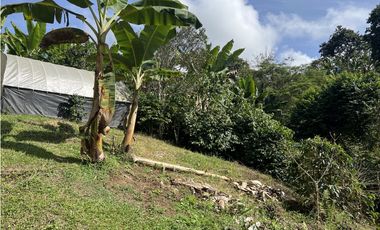 ref 1021a vendo finca en calima Darién vereda el diamante