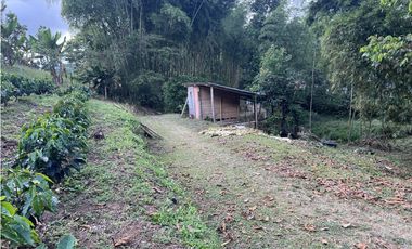 ref 1021a vendo finca en calima Darién vereda el diamante