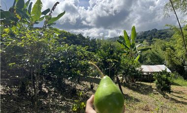 ref 1021a vendo finca en calima Darién vereda el diamante