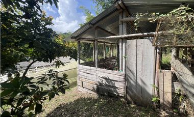 ref 1021a vendo finca en calima Darién vereda el diamante