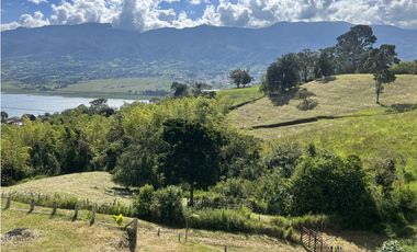 ref 1003a vendo casa campestre calima Darién