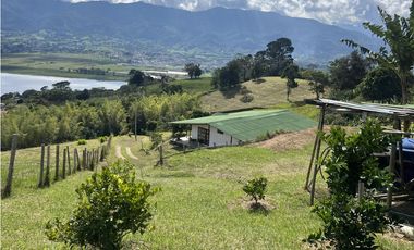 ref 1003a vendo casa campestre calima Darién