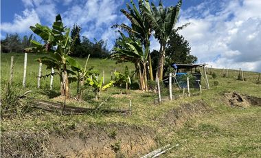 ref 1003a vendo casa campestre calima Darién