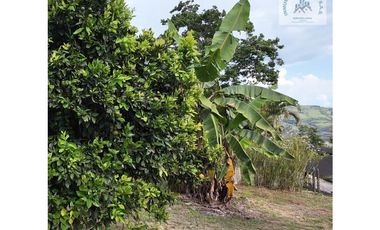 ref 859a lago calima/ vendo casa campestre