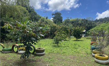 ref 1009a vendo casa campestre en calima Darién