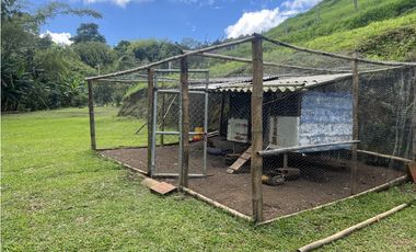 ref 1009a vendo casa campestre en calima Darién