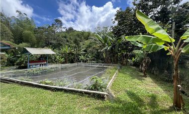 ref 1009a vendo casa campestre en calima Darién