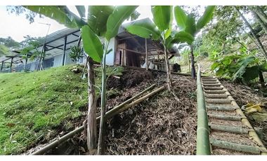 ref 1004a vendo casa campestre Darién terrazas de calima