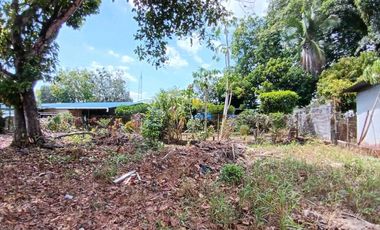 VENDO LOTE COMERCIAL DE 639MTS DAVID