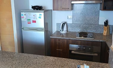 arriendo departamento central amoblado