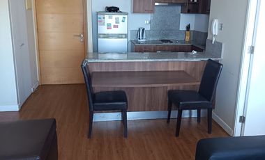 arriendo departamento central amoblado