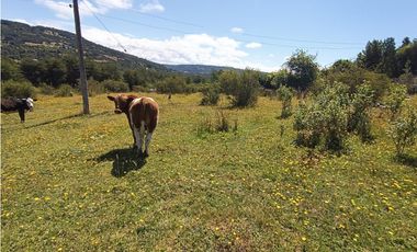🌿 Venta de Terrenos de 5,8 Hectáreas – Chadmo Central, Chiloé