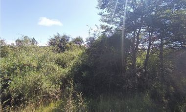 🌿 Venta de Terrenos de 5,8 Hectáreas – Chadmo Central, Chiloé