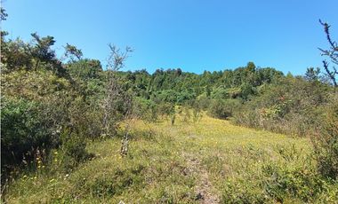 🌿 Venta de Terrenos de 5,8 Hectáreas – Chadmo Central, Chiloé