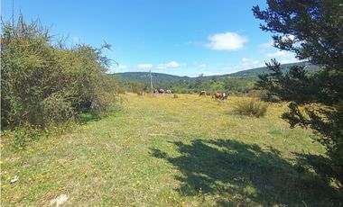 🌿 Venta de Terrenos de 5,8 Hectáreas – Chadmo Central, Chiloé