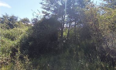 🌿 Venta de Terrenos de 5,8 Hectáreas – Chadmo Central, Chiloé