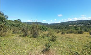 🌿 Venta de Terrenos de 5,8 Hectáreas – Chadmo Central, Chiloé