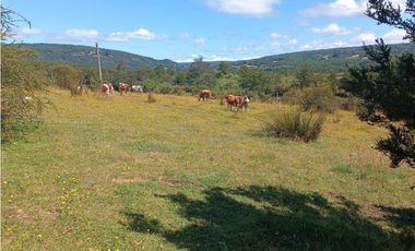 🌿 Venta de Terrenos de 5,8 Hectáreas – Chadmo Central, Chiloé