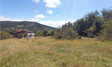 🌿 Venta de Terrenos de 5,8 Hectáreas – Chadmo Central, Chiloé
